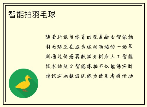 智能拍羽毛球