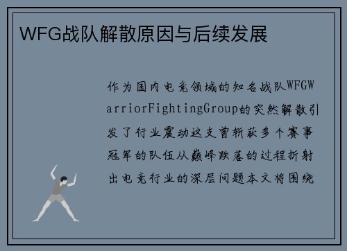 WFG战队解散原因与后续发展